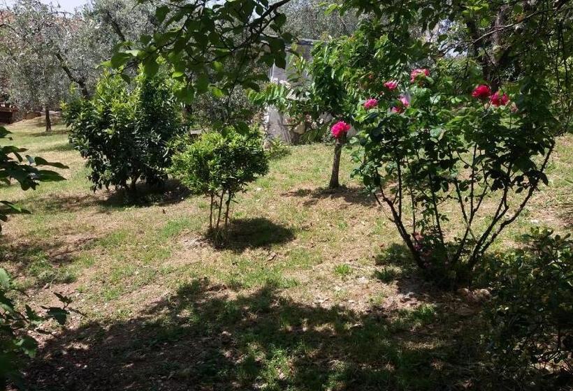 בית מלון כפרי B&b L Uliveto