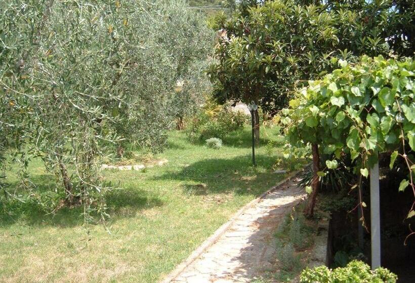 ホテル B&b L Uliveto