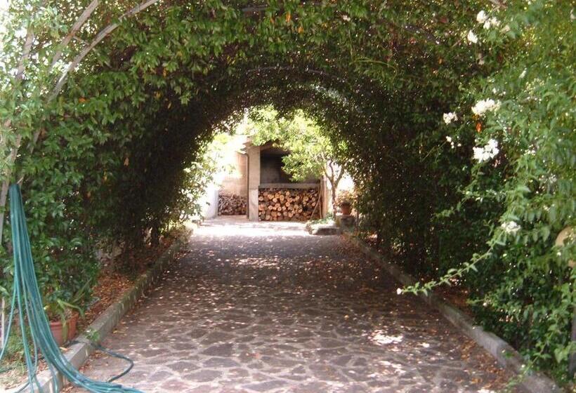 ホテル B&b L Uliveto