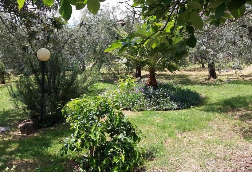 ホテル B&b L Uliveto