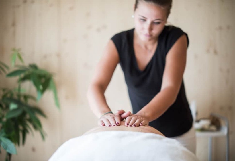 בית מלון כפרי Burgaunerhof