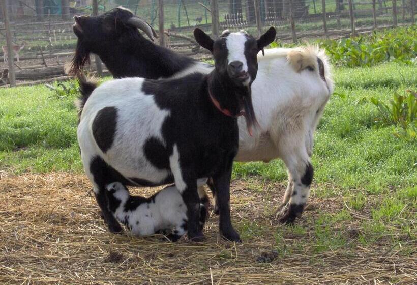 فندق Cascina Beneficio