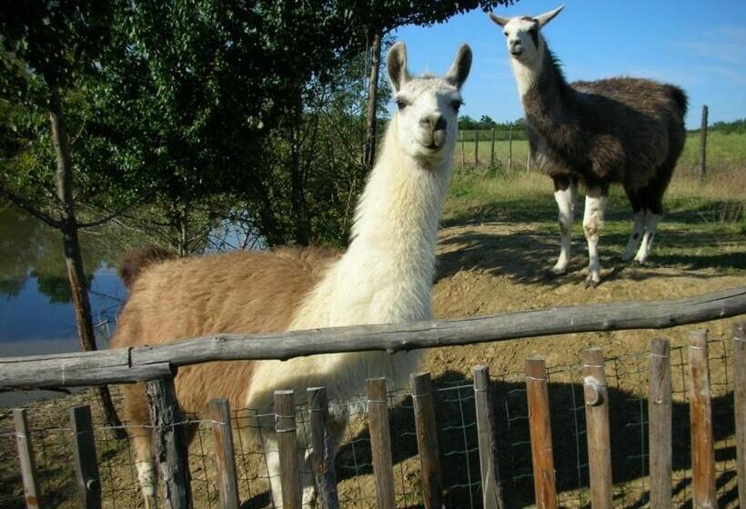 فندق Cascina Beneficio