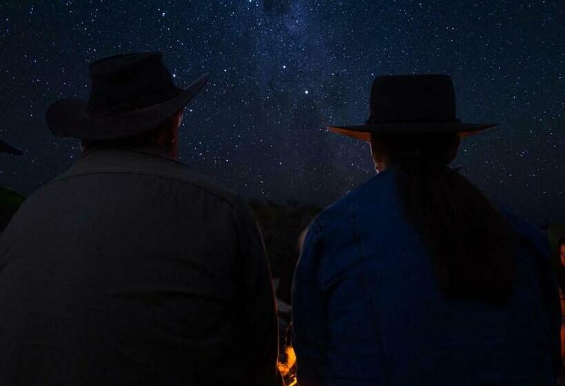 호텔 Coodlie Park Eco Retreat