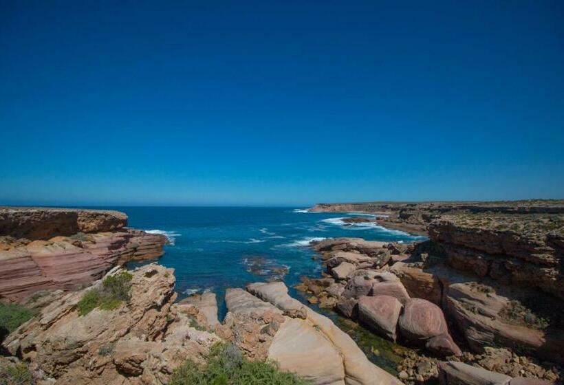 호텔 Coodlie Park Eco Retreat