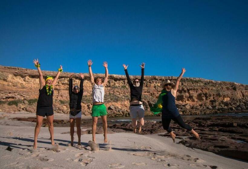 호텔 Coodlie Park Eco Retreat