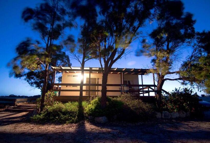 호텔 Coodlie Park Eco Retreat