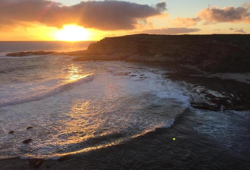 호텔 Coodlie Park Eco Retreat