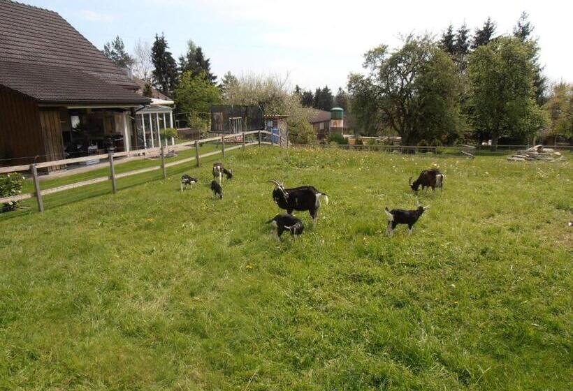 בית מלון כפרי Don Camillo Gästehaus