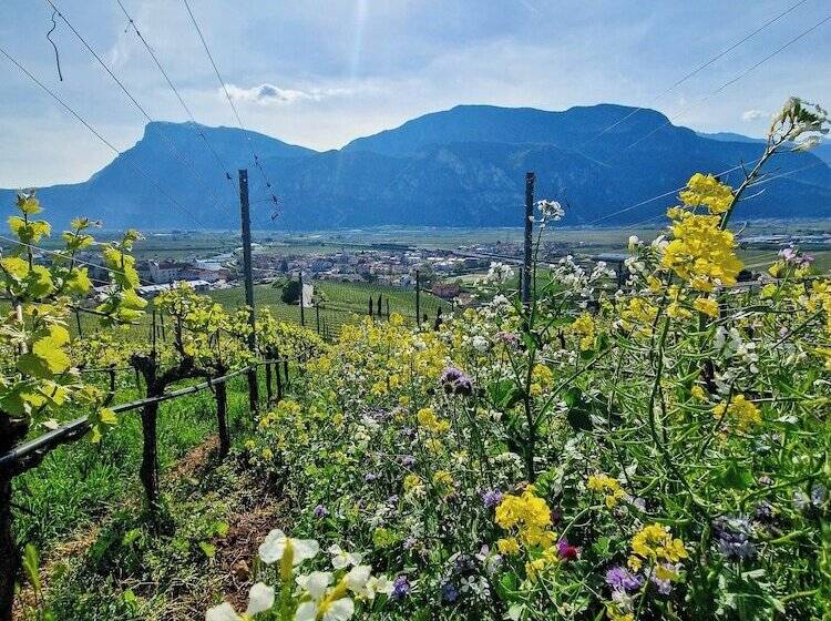 فندق Garni La Vigna   Adult Friendly