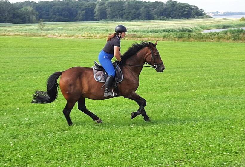 Отель Gutshaus Kajahn