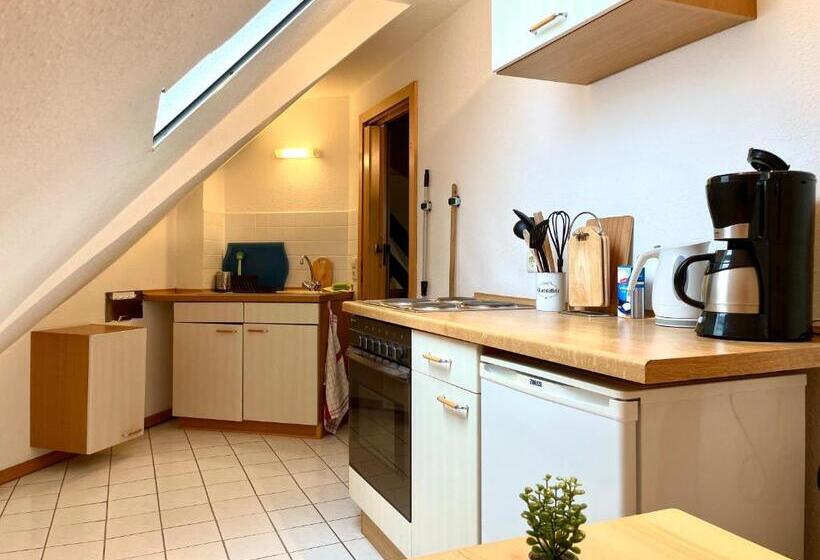 Отель Gutshaus Kajahn