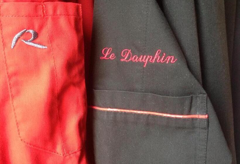Отель Hôtel Le Dauphin