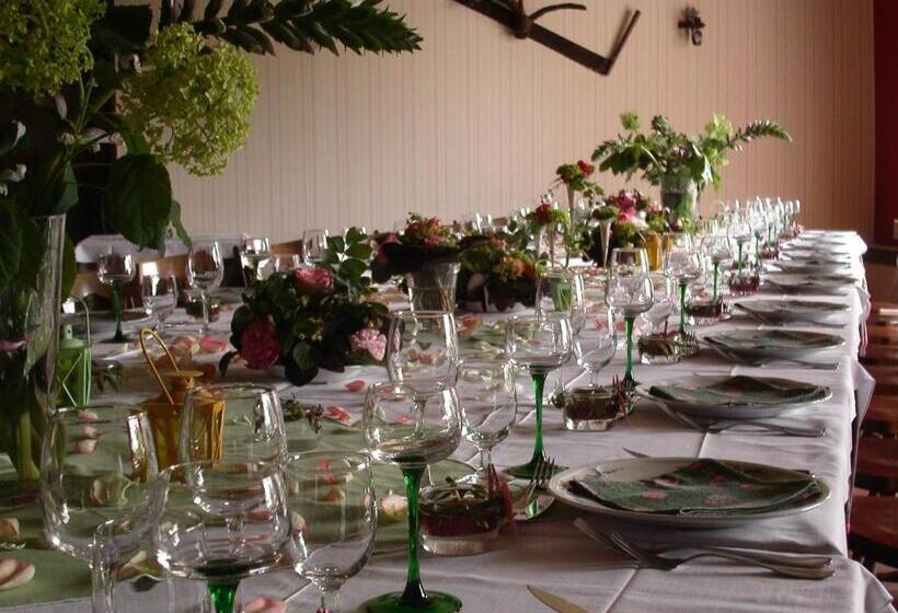 Отель Hôtel Le Dauphin