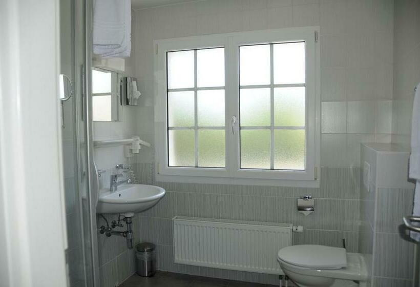 Отель Hôtel Restaurant La Croix Verte