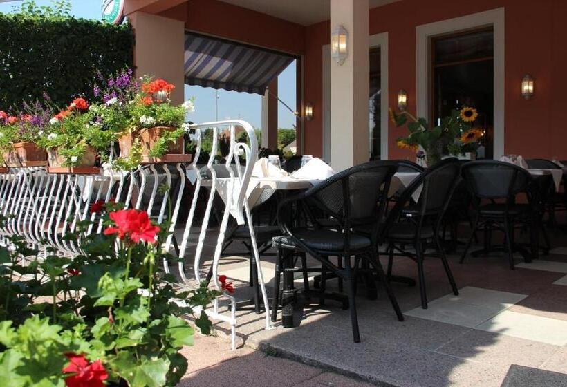 酒店 Hôtel Restaurant Oberlé