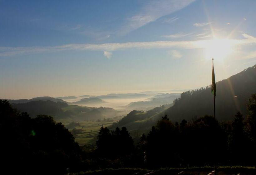 فندق Hulfteggpass