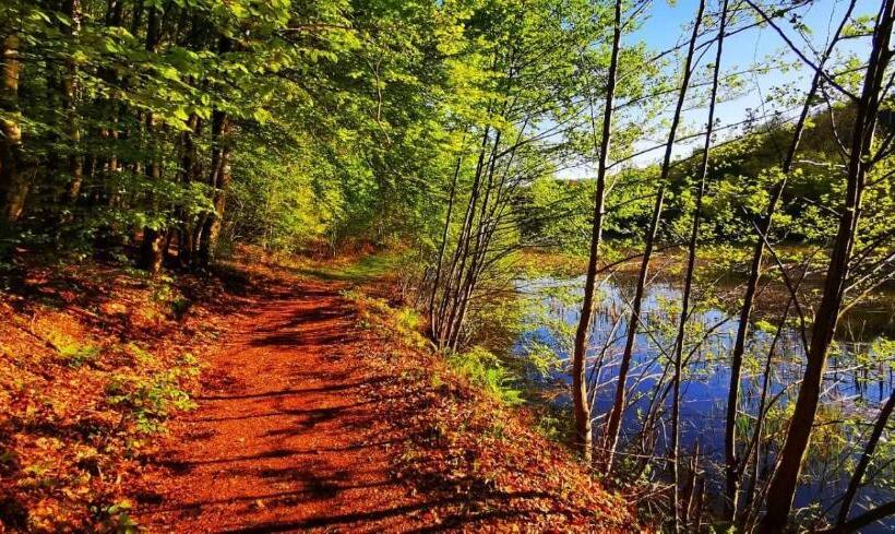 בית מלון כפרי Le Lac Des Moines