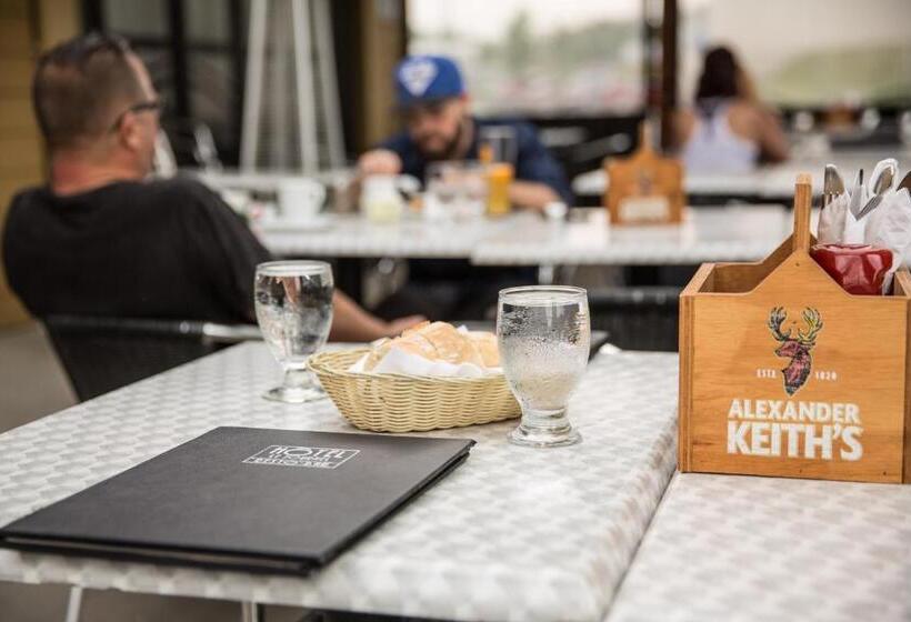 酒店 Resto Bar Le Journel