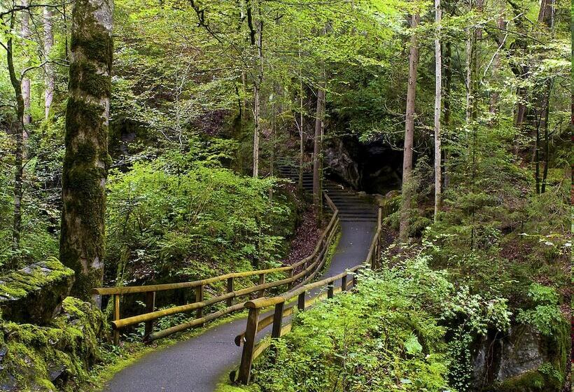 בית מלון כפרי & Spa Blausee