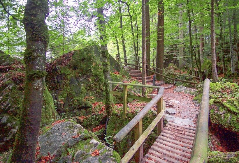 בית מלון כפרי & Spa Blausee