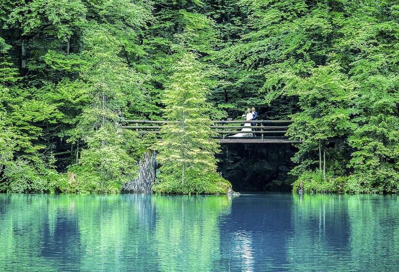 בית מלון כפרי & Spa Blausee