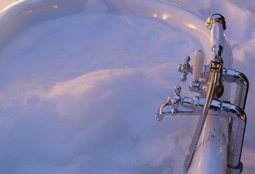 בית מלון כפרי & Spa Blausee