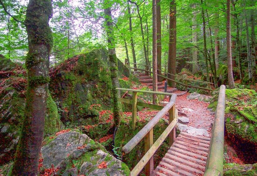 בית מלון כפרי & Spa Blausee