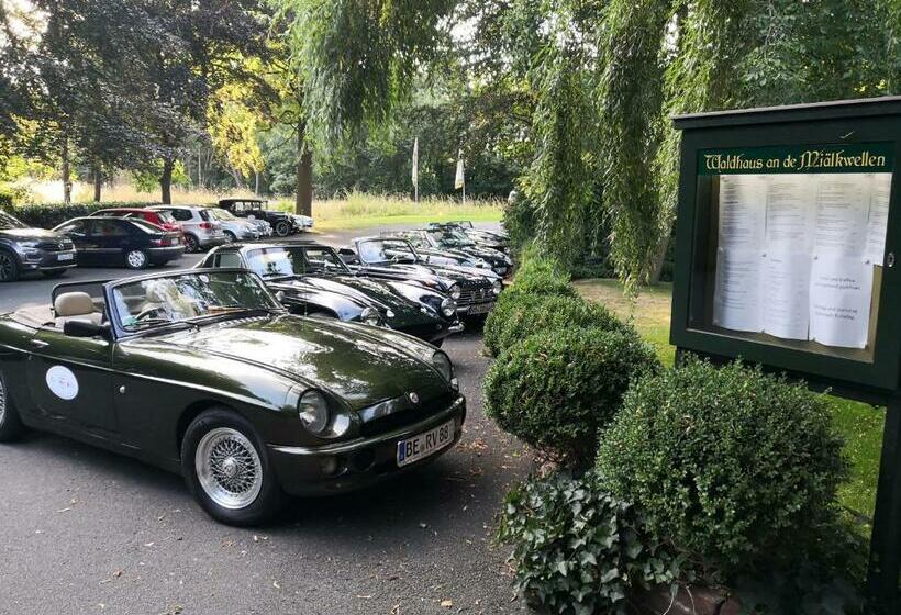 هتل Waldhaus An De Miälkwellen