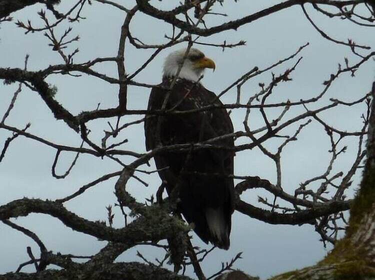 Inlet Beach House B&b
