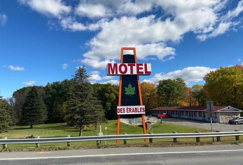 Motel Des Erables