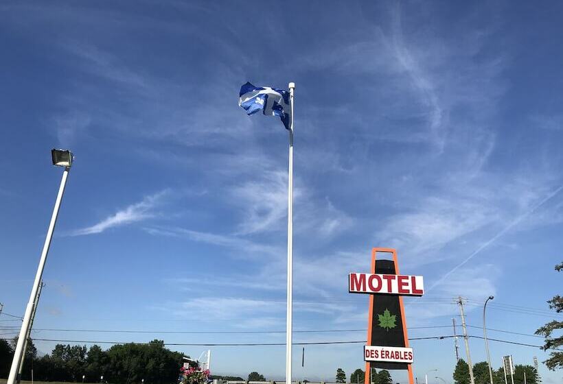 Motel Des Erables