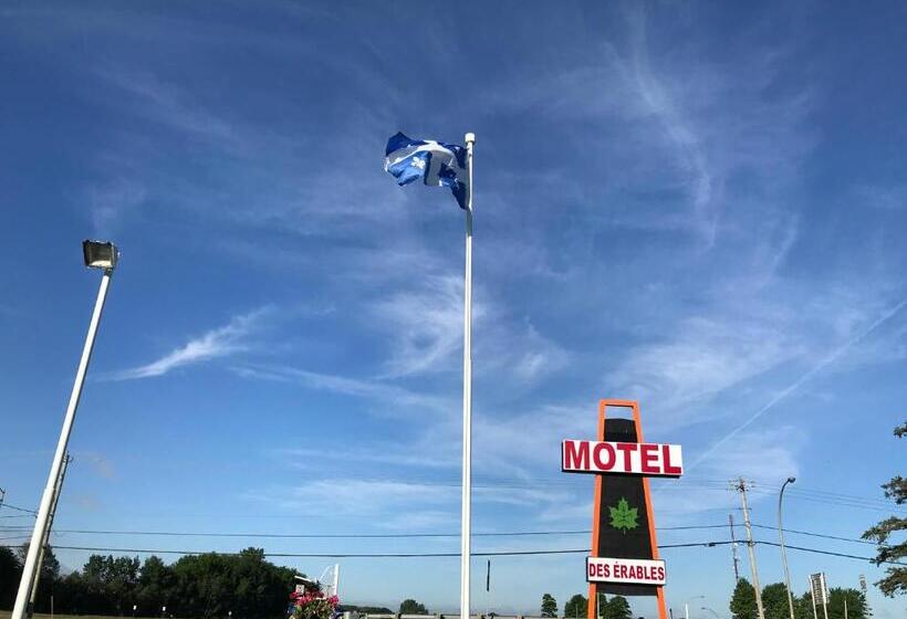 Motel Des Erables