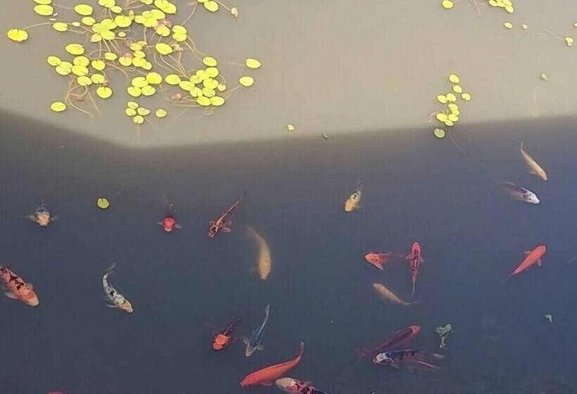 מוטל Golf Club Motor Inn Wingham