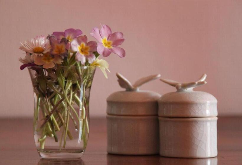 بنسيون Bed & Breakfast   Maison De Marie