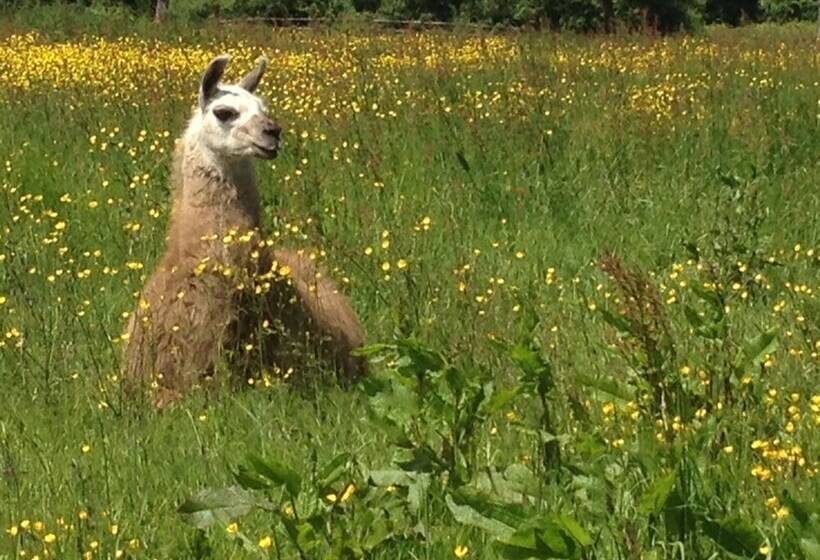 ペンション Domaine De La Mare Elan