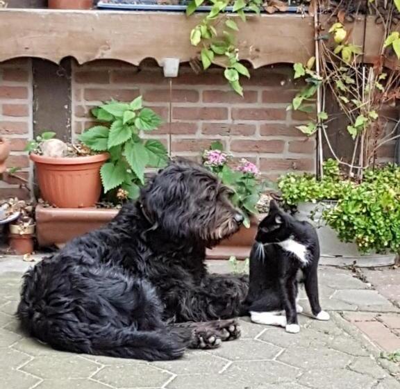 بنسيون Ferienhof Hanum