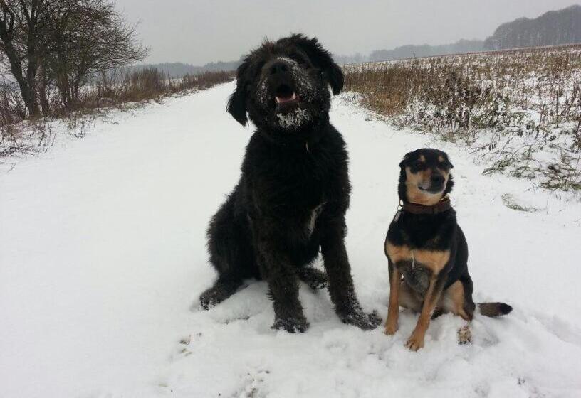 بنسيون Ferienhof Hanum