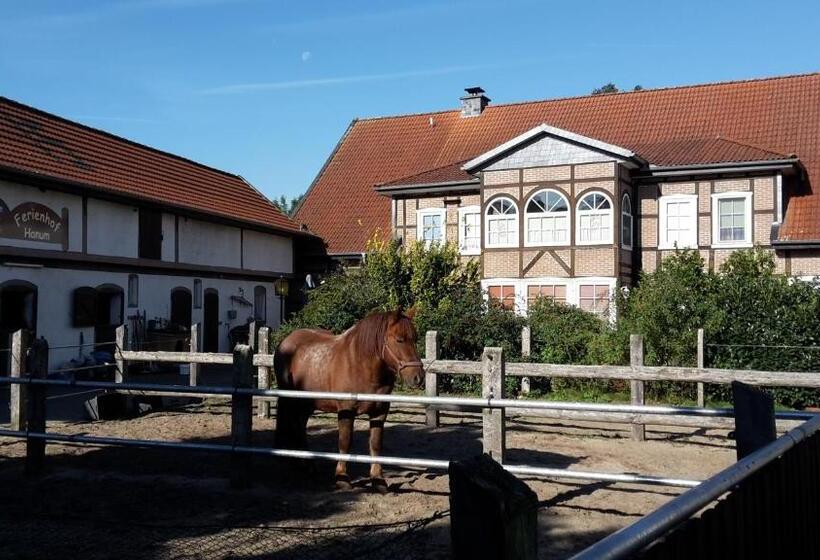 بنسيون Ferienhof Hanum