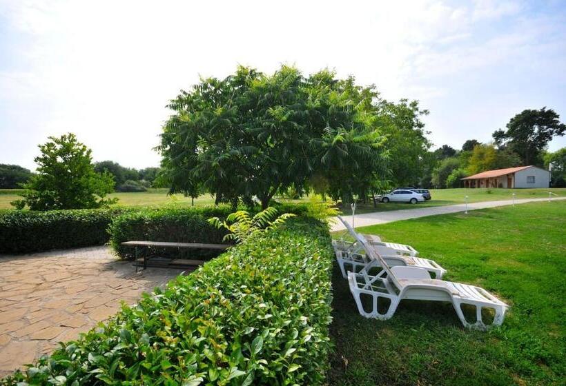 بنسيون Gergely Tanya