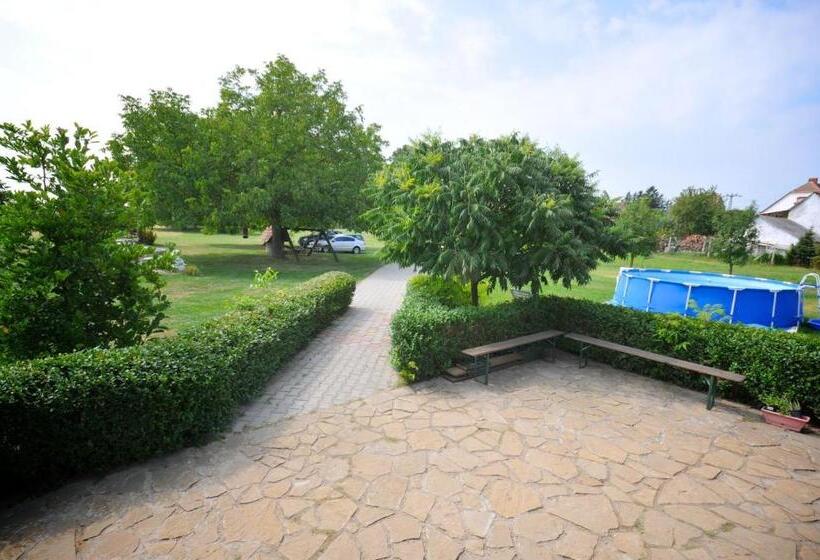 بنسيون Gergely Tanya