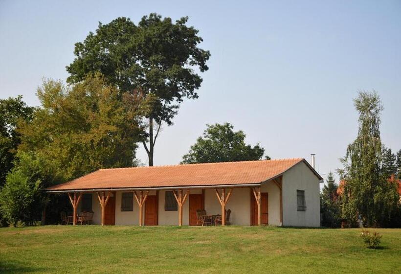 بنسيون Gergely Tanya