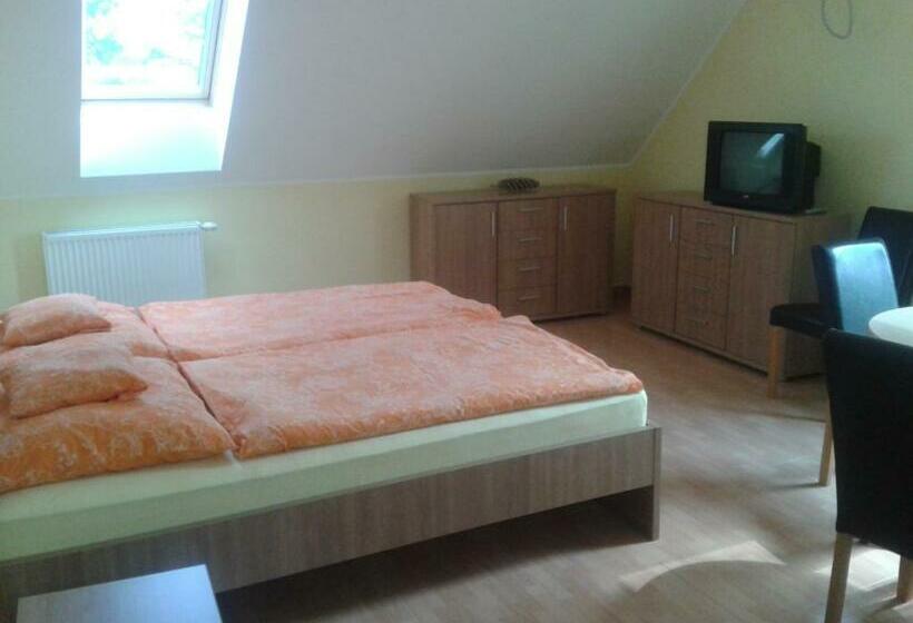 펜션 Határmenti Vendégház