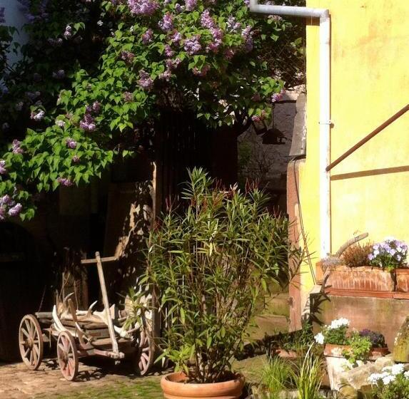 Пансион La Maison De Caroline