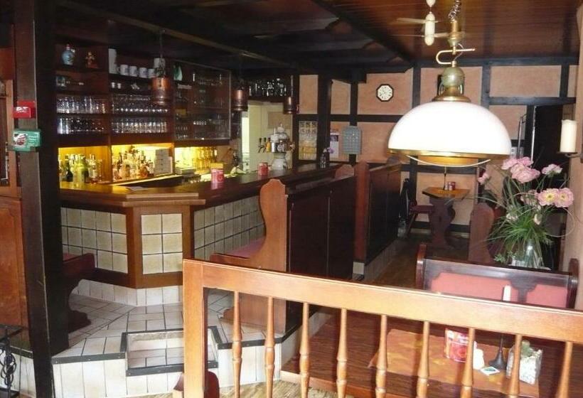 بنسيون Landgasthof Schützenhof Artlenburg