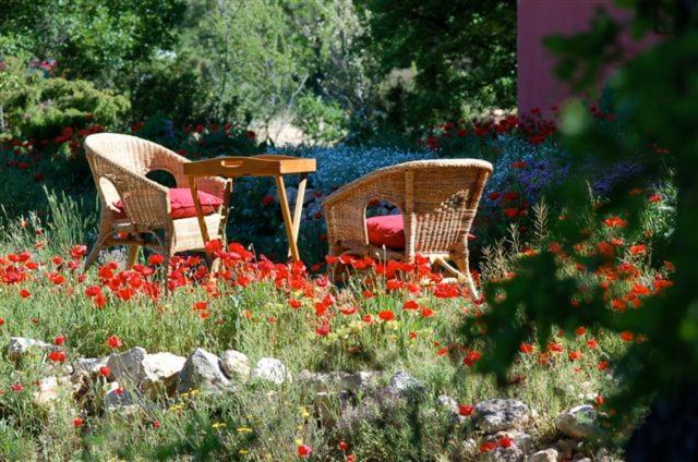 膳宿费 Maison Rouge