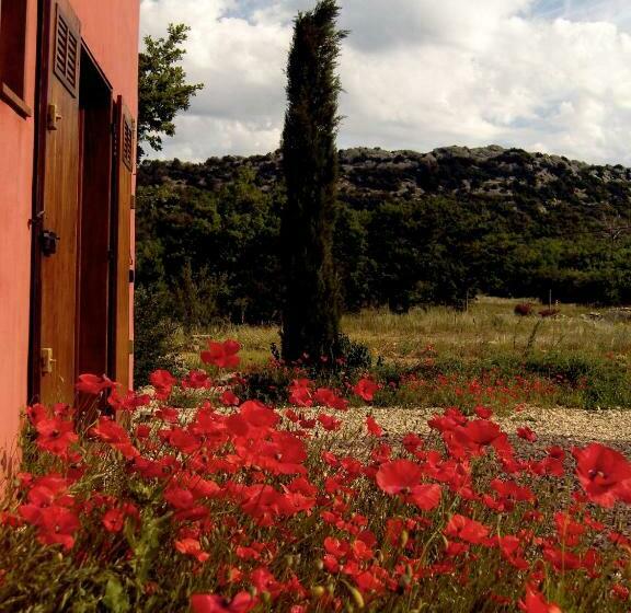 膳宿费 Maison Rouge