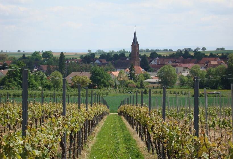 بنسيون No.31 B&b Im Rosengarten