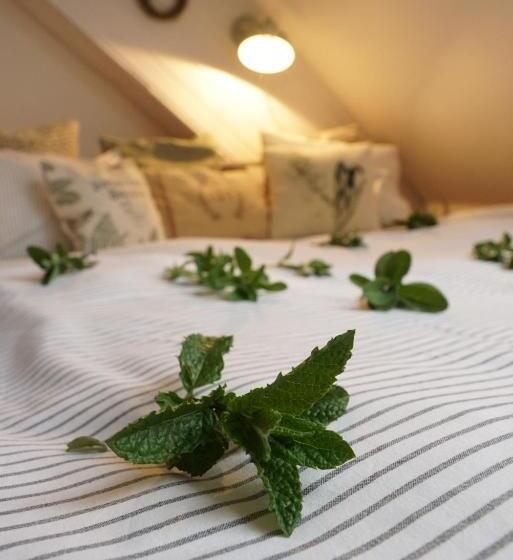 膳宿费 Penzion Na červeném Potoce