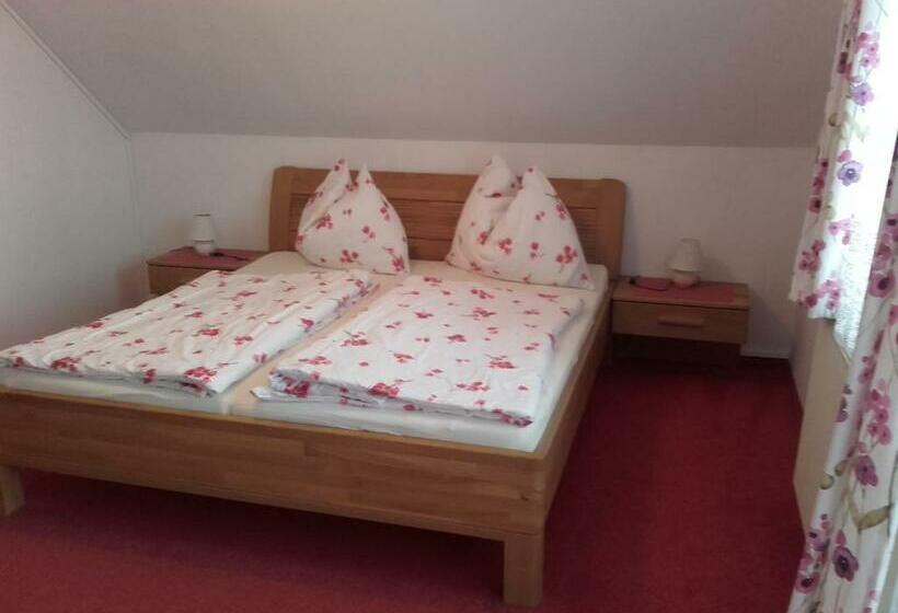 بنسيون Rainzhof